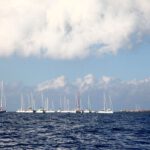 Fleur Rapide - Giro Italia 2019