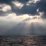 Fleur Rapide - Giro Italia 2019