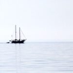 Fleur Rapide - Giro Italia 2019