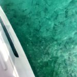 Fleur Rapide - Giro Italia 2019