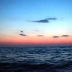 Fleur Rapide - Giro Italia 2019