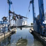 Fleur Rapide - Giro Italia 2019