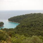 Fleur Rapide - Giro Italia 2019