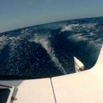 Fleur Rapide - Giro Italia 2019