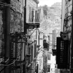 Fleur Rapide - Giro Italia 2019