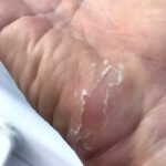 Fleur Rapide - Giro Italia 2019