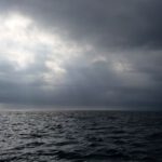 Fleur Rapide - Giro Italia 2019